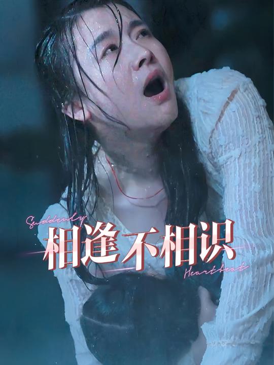 相逢不相识封面