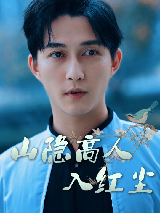 山隐高人入红尘封面