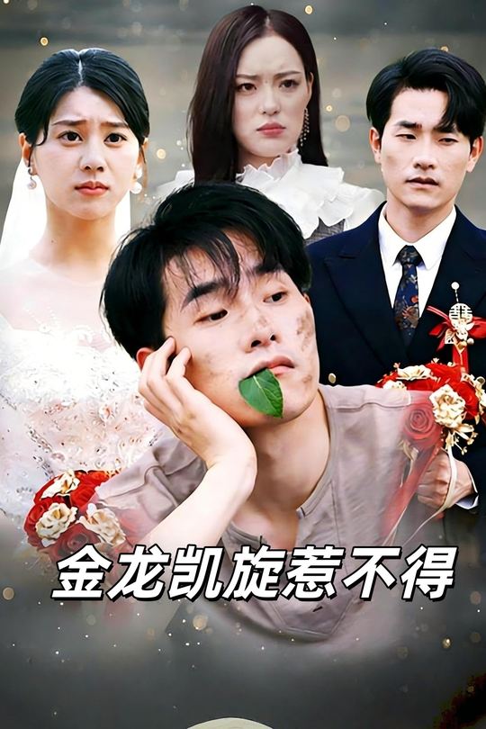 金龙凯旋惹不得封面
