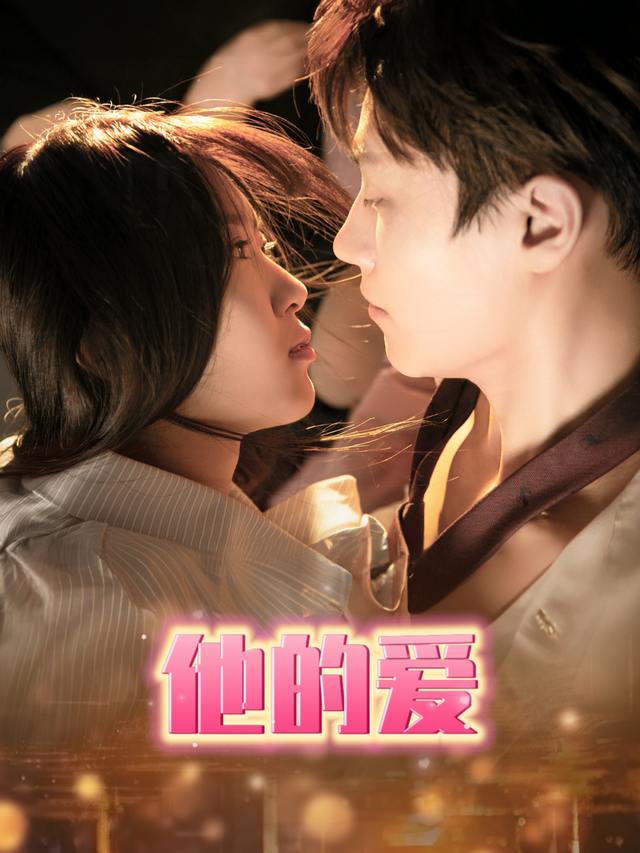 他的爱封面