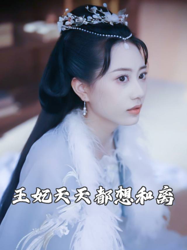 王妃天天都想和离封面