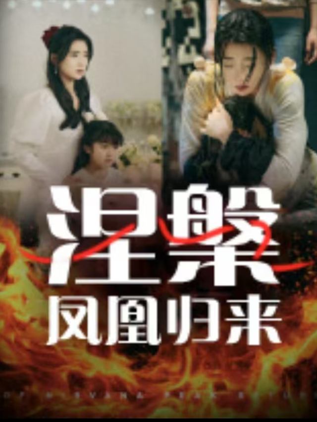 涅槃凤凰归来封面