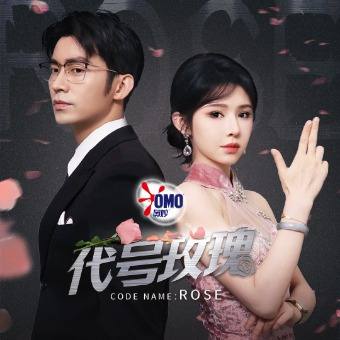 代号玫瑰封面