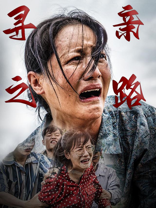 寻亲之路封面