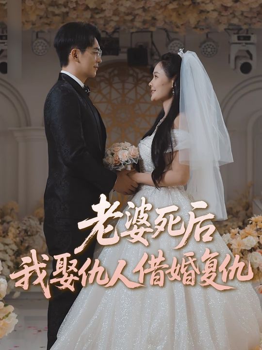 我娶仇人借婚复仇封面