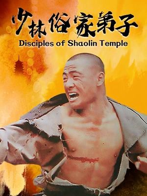 少林俗家弟子封面
