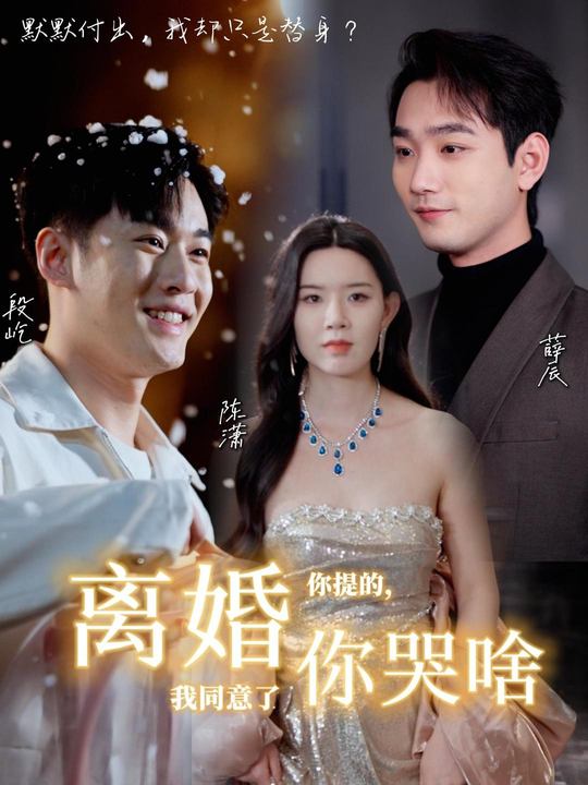 离婚你提的,我同意了你哭啥封面