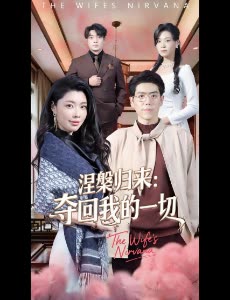 涅槃归来:夺回我的一切封面