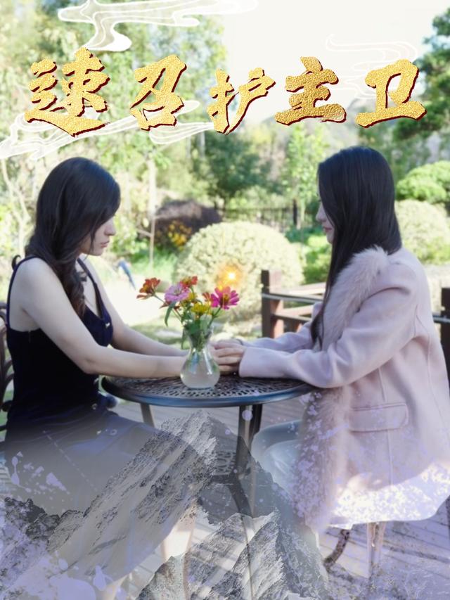 速召护主卫封面