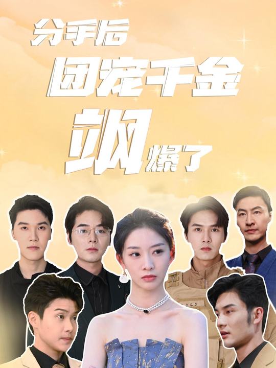 别后明珠众星倾封面