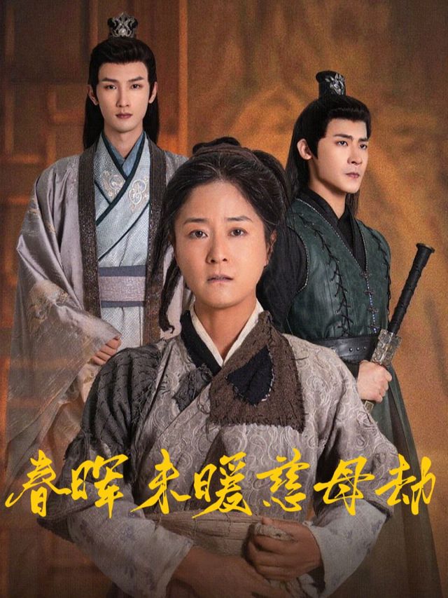 春晖未暖慈母劫封面