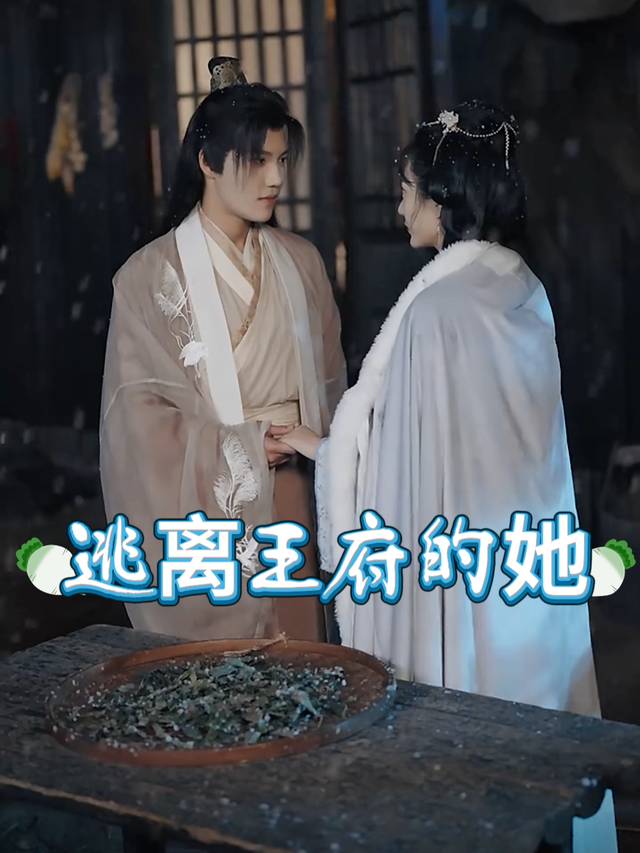 逃离王府的她封面