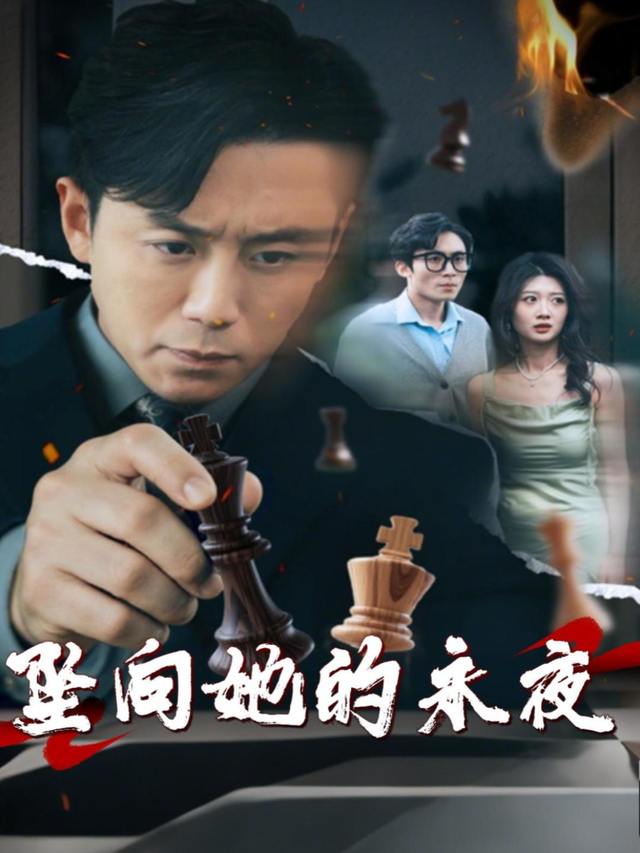 坠向她的永夜封面