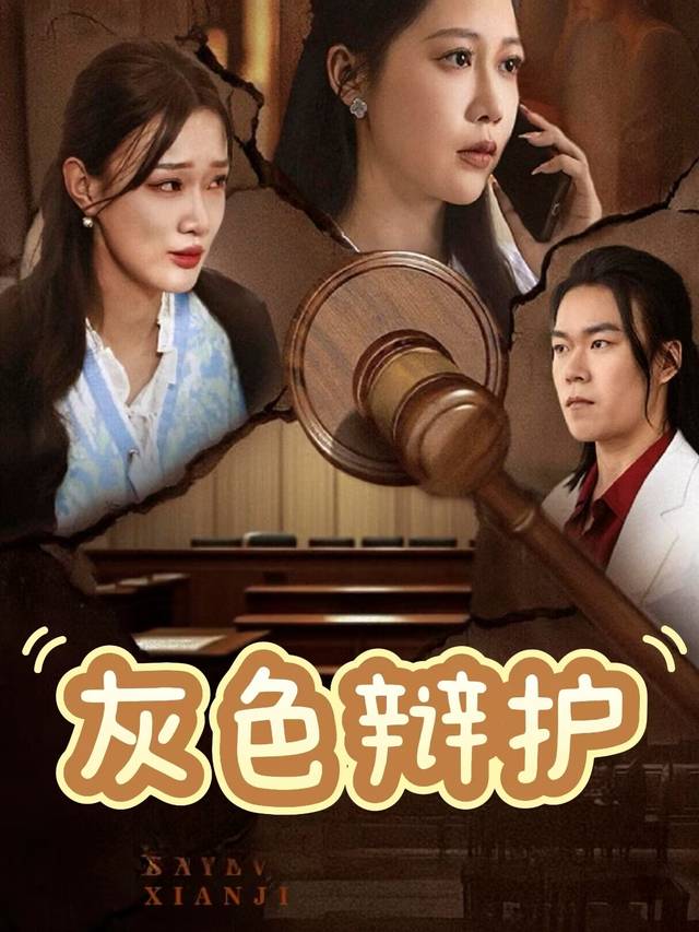 灰色辩护封面