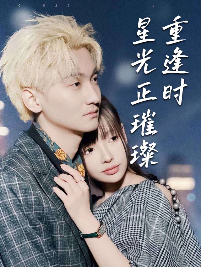 重逢时星光正璀璨封面