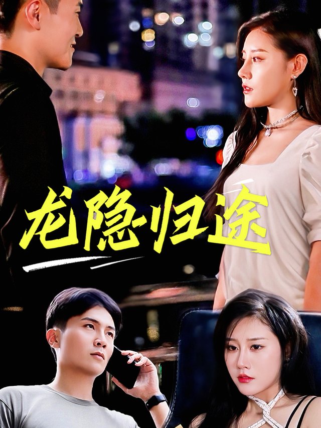 龙隐归途封面