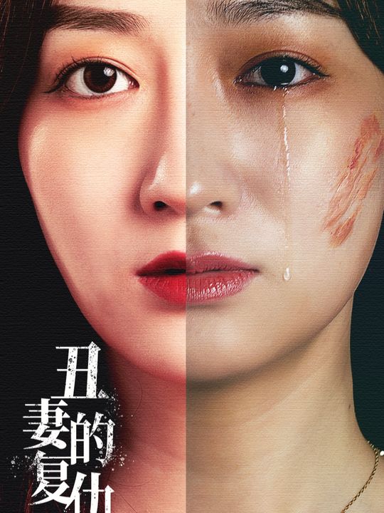 丑妻的复仇封面