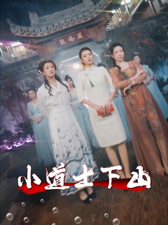 小道士下山封面