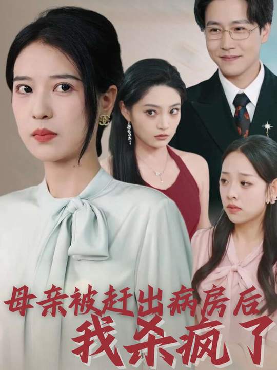 母亲被赶出病房后我杀疯了封面