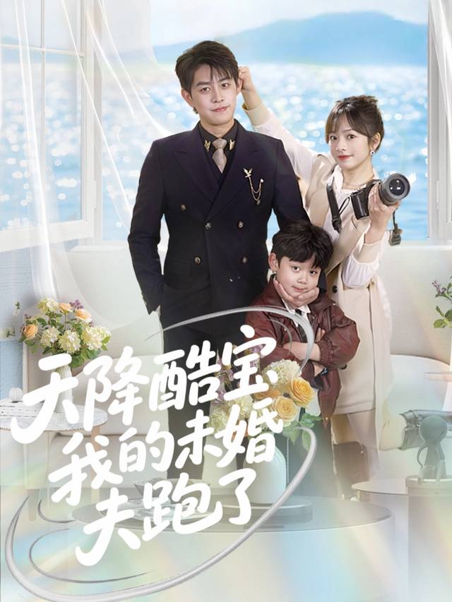 天降酷宝,我的未婚夫跑了封面