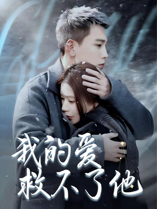 我的爱救不了他封面