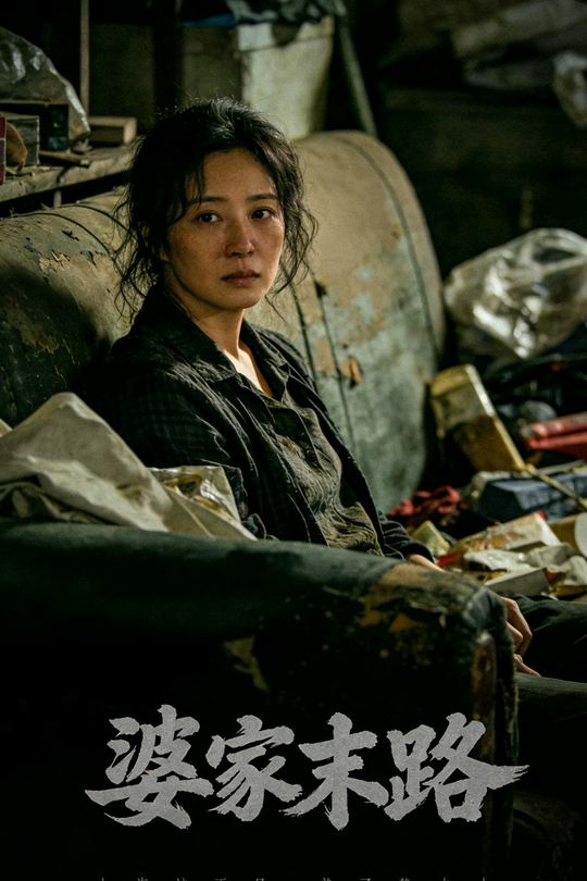 婆家末路封面