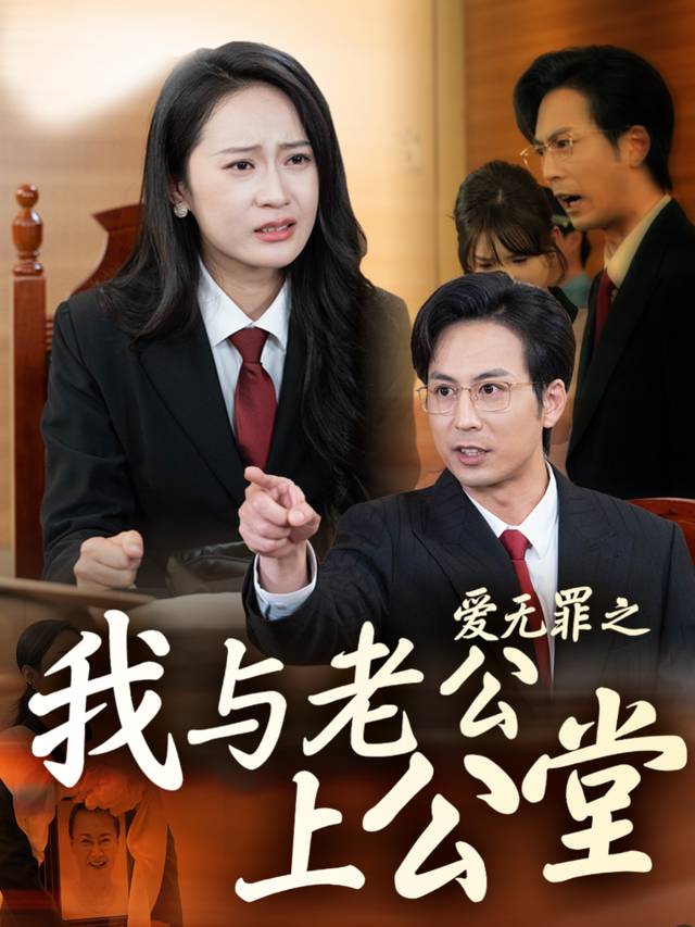 爱无罪之我与老公上公堂封面