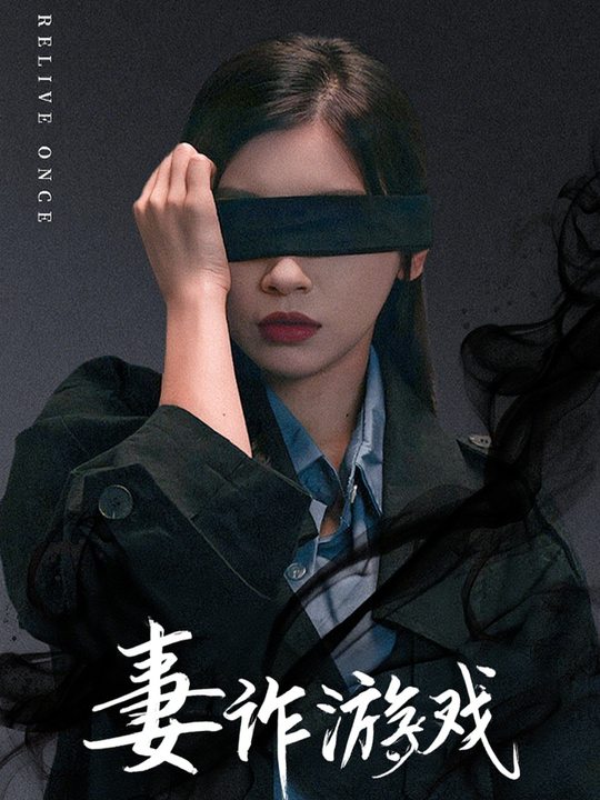 妻诈游戏封面
