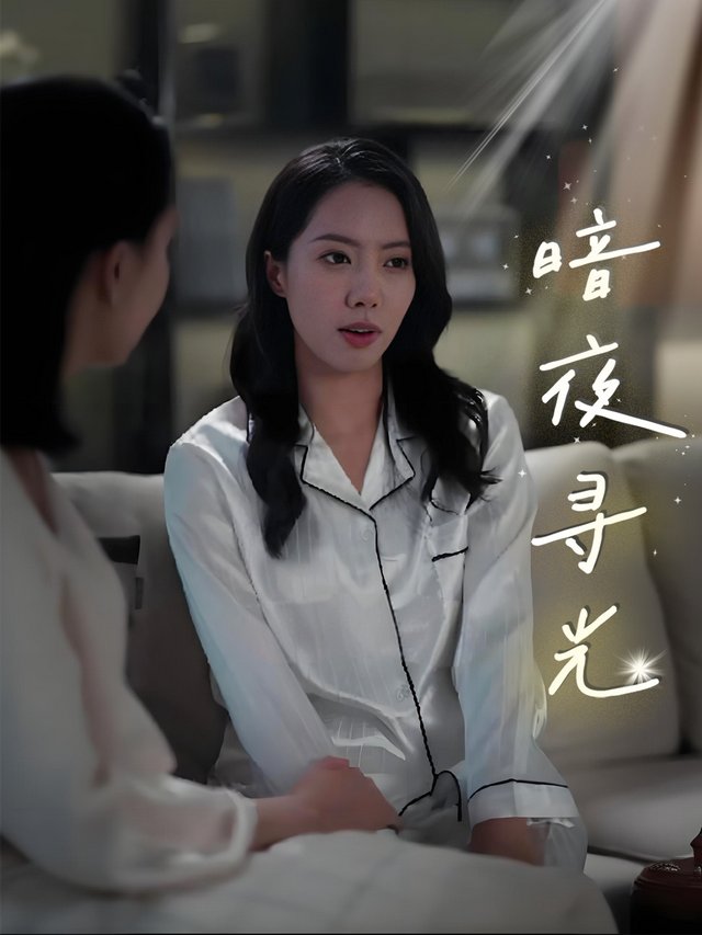 暗夜寻光封面