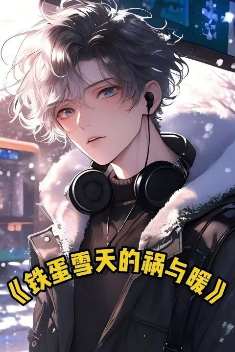 铁蛋雪天的祸与暖封面