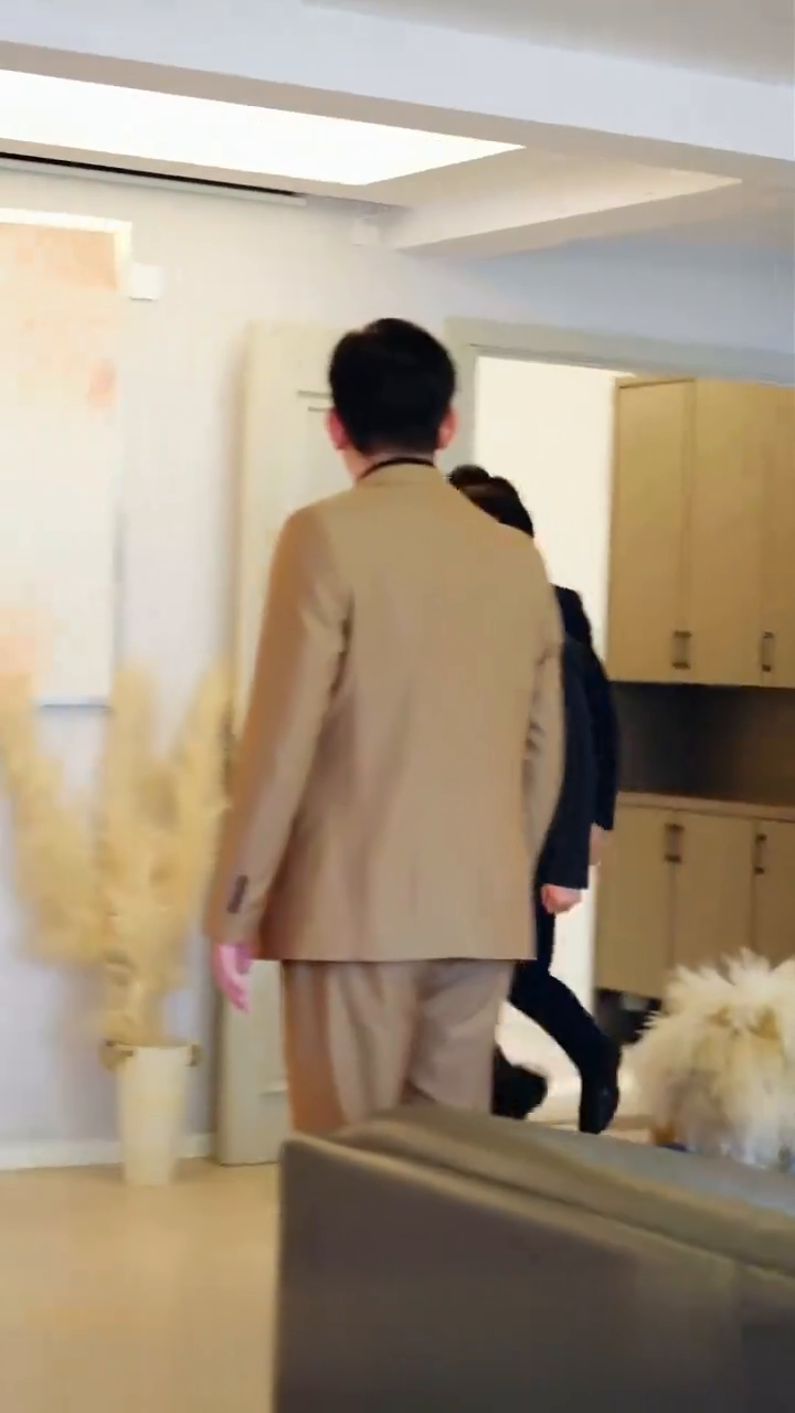 霍总的隐婚小娇妻封面