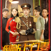 少帅强宠倒贴上门妻封面