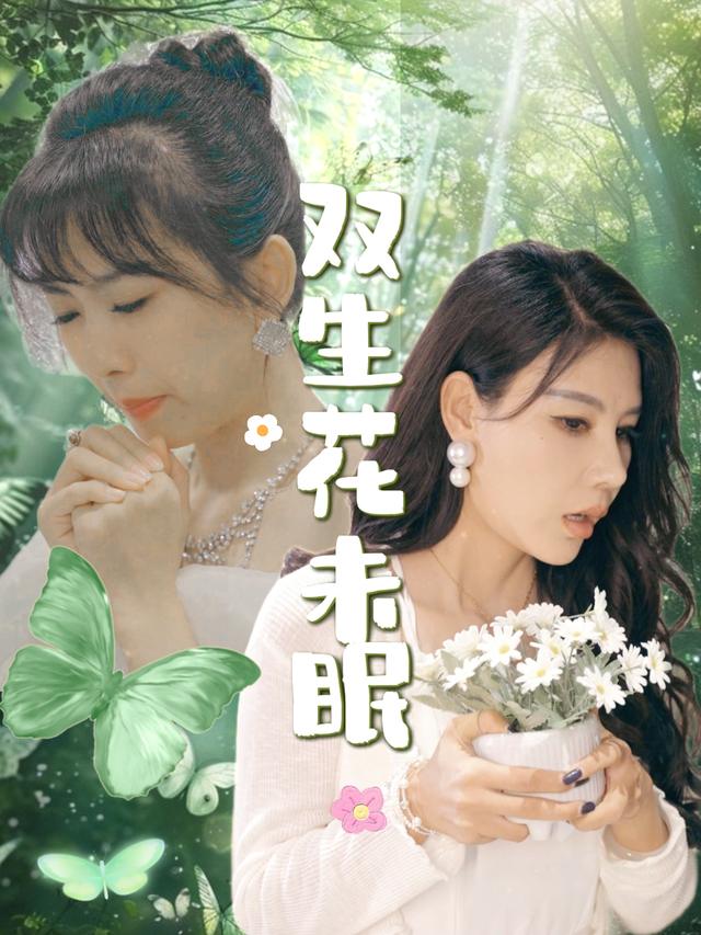 双生花未眠封面