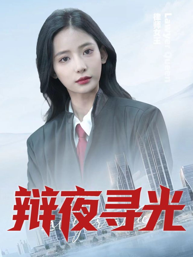 辩夜寻光封面