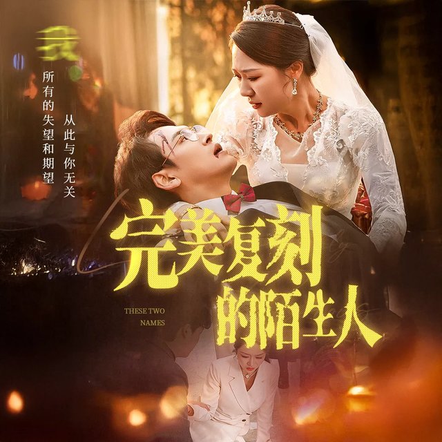 完美复刻的陌生人封面