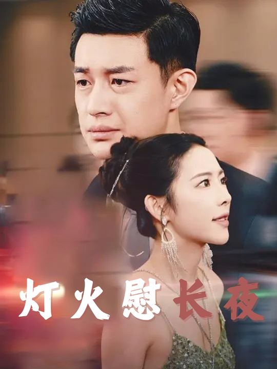 灯火慰长夜封面