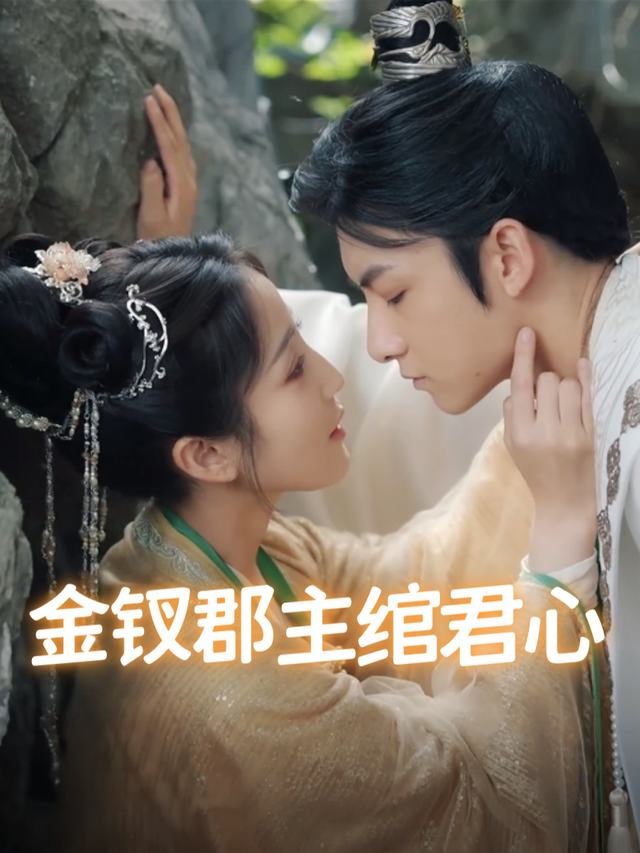 金钗郡主绾君心封面