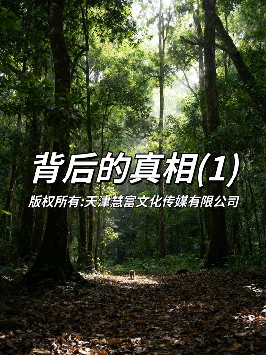 背后的真相封面