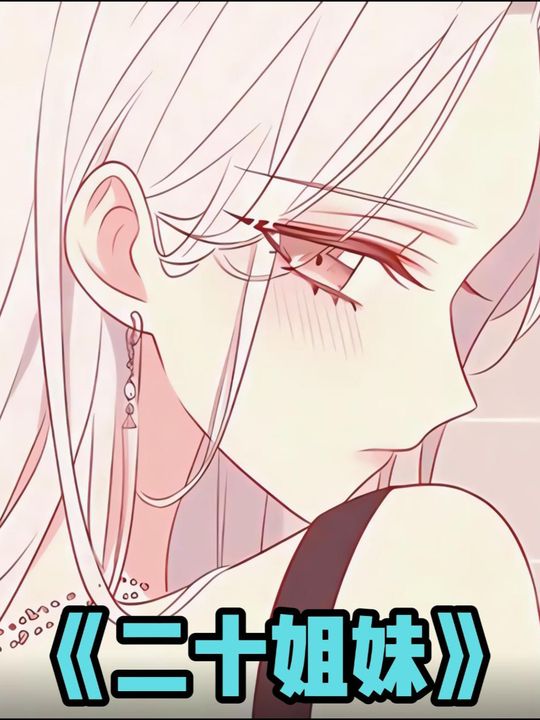 二十姐妹封面