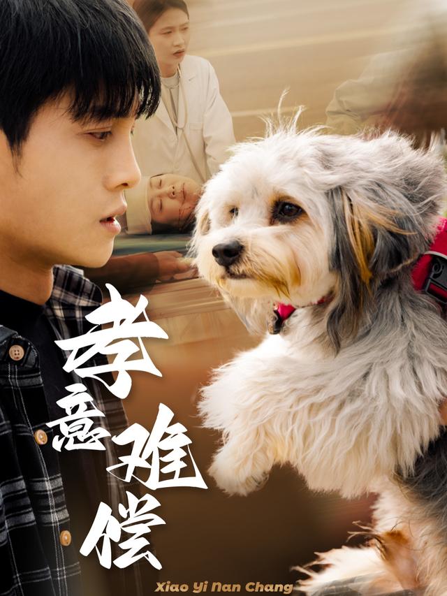 孝意难偿封面