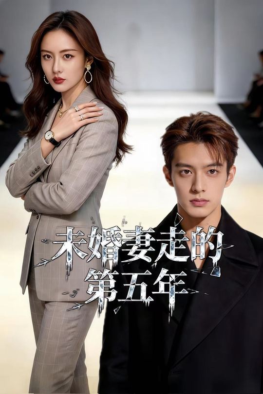 未婚妻走的第五年封面