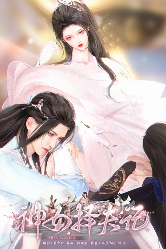 神女择夫记封面