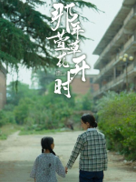 那年萱草花开时封面