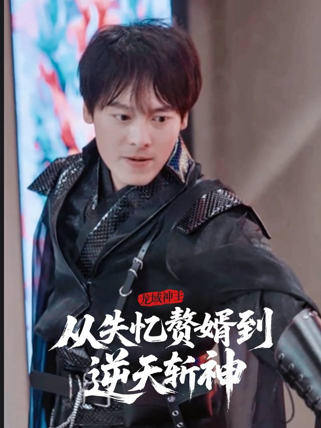 龙域神主:从失忆赘婿到逆天斩神封面