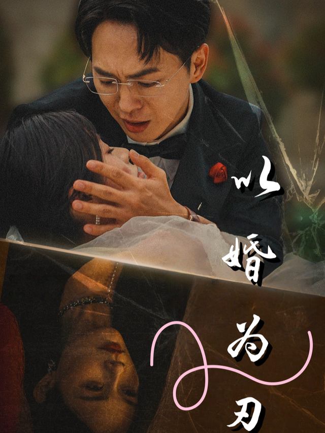 以婚为刃封面