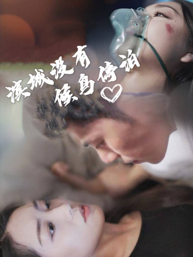 滨城没有候鸟停泊封面