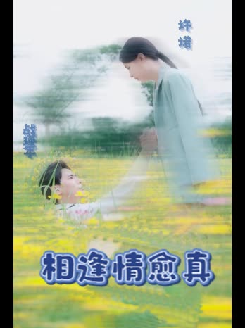 相逢情愈真封面