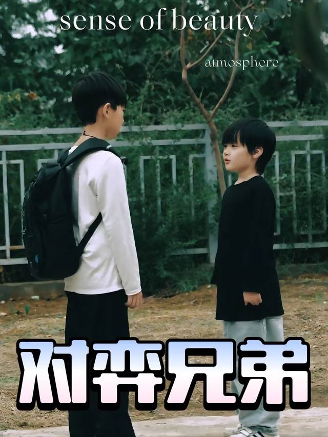 对弈兄弟封面