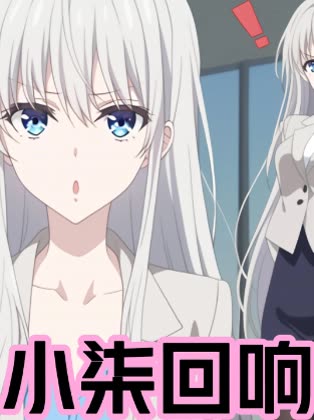 小柒回响封面
