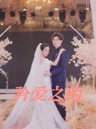 矜爱之约封面